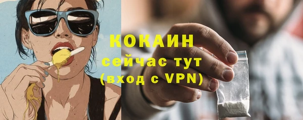 эйфоретик Бородино