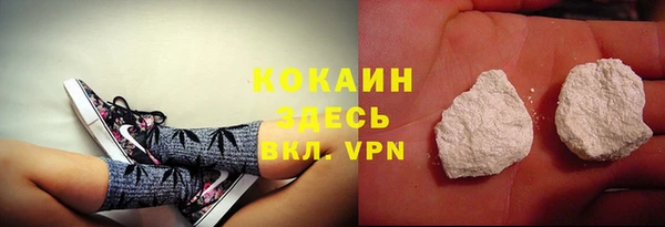 эйфоретик Бородино