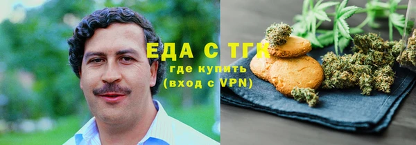 эйфоретик Бородино